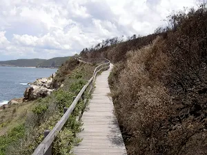 Bouddi Coastal Walk