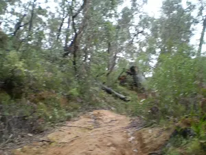 Going up to the Deep Pass Carpark (Sth)