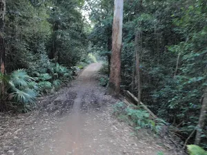 Lady Carrington Drive