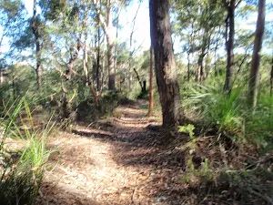Generally a clear track