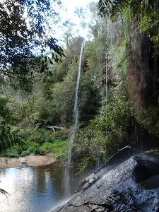Waterfall next to Lyrebird Dell