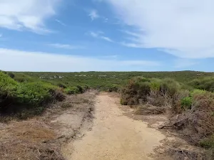 Coast Track