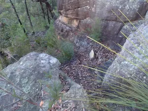 Start of track down to Glenbrook Ck