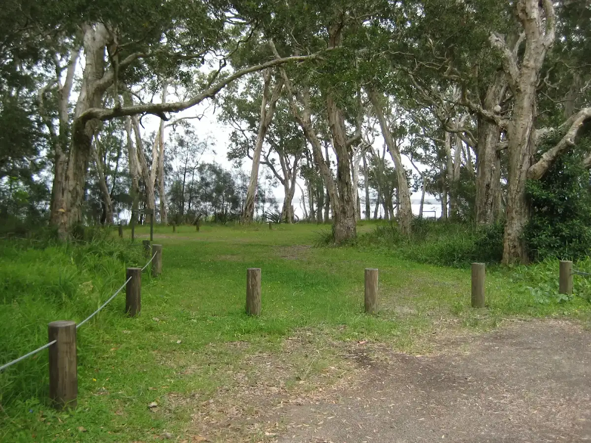 Bombah Broadwater: White Tree Bay