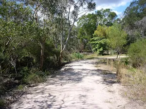 Perimeter Trail near Terrey Hills