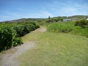 Grassy track near the Caves Beach Lookout