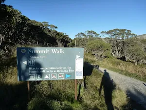 Summit Walk track head