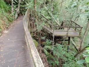 Path to Somersby Falls