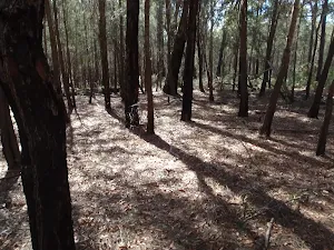 Track down to Field Study Huts