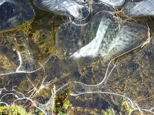 Icy rivers