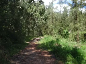 following the georges river service trail