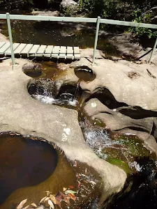 Lyrebird waterfall