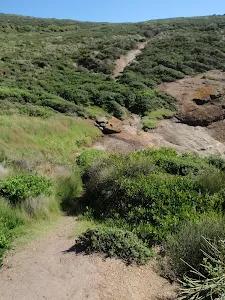 Near the Gully at the apex of Timber Beach