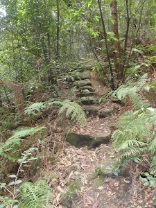 Rock steps