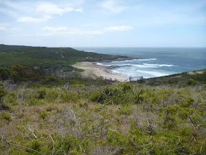 Views to the north from Pinney's Headland in the Wallarah Pennisula