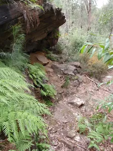 Track below Blaxland Library car park