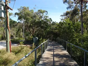 following the wooden footbridge