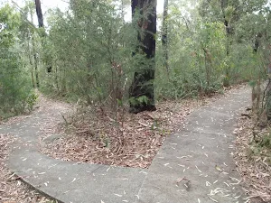 Mambara Track