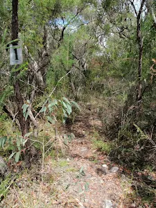 The top of the Wobby Track