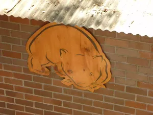 Picture of a wombat on the Wildlife Exhibits in Blackbutt Reserve