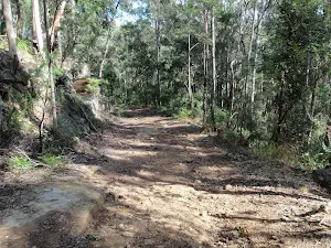 Georges road