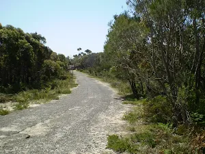 Beachcomber Rd Service Trails