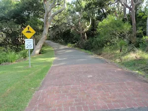 Road leading beside the bush