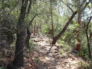 Climbing up the Sphinx Track