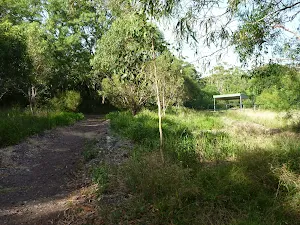 Galgabba Point walking track near Swansea