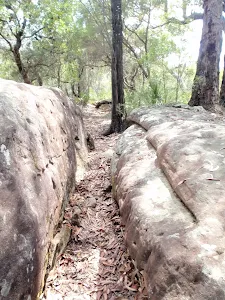 Cleft in rock on Highway Ridge track