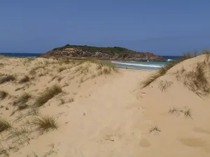 Track through dunes on North Tura