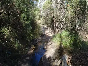 Overcliff track