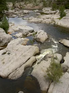 Cox's River beneath Bowtell's Bridge