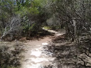 Sandy track to North Tura