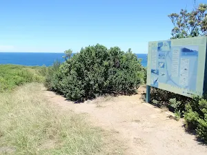 Sign at whale watching area