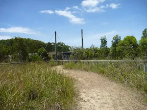 Trail with the over bridge in the distance on the Wallarah Pennisula Walk