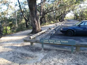 Track round Evans Lookout car park