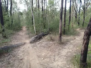 The Oaks Cycleway