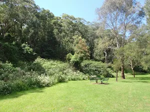 boomerang reserve