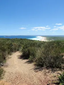 Birdie Beach View