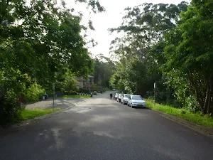 Walking along Quarry Rd