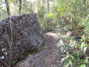 A boulder beside the track