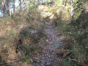 Poorly defined track