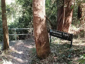 Track junction
