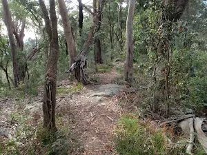 following the ridge