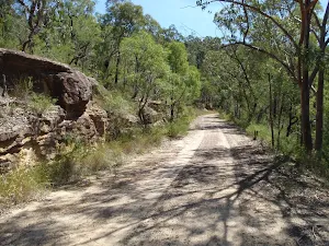 Donny's Track