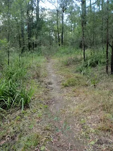 Machins Crater track nearing crater edge