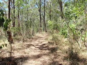 Sid Pulsford Walking track 