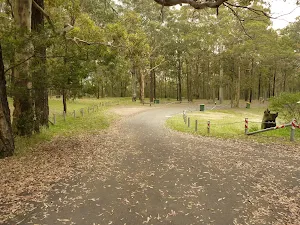 Northern Road near Mt Sugarloaf car park