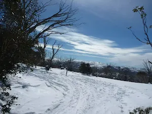Walking above Link Rd